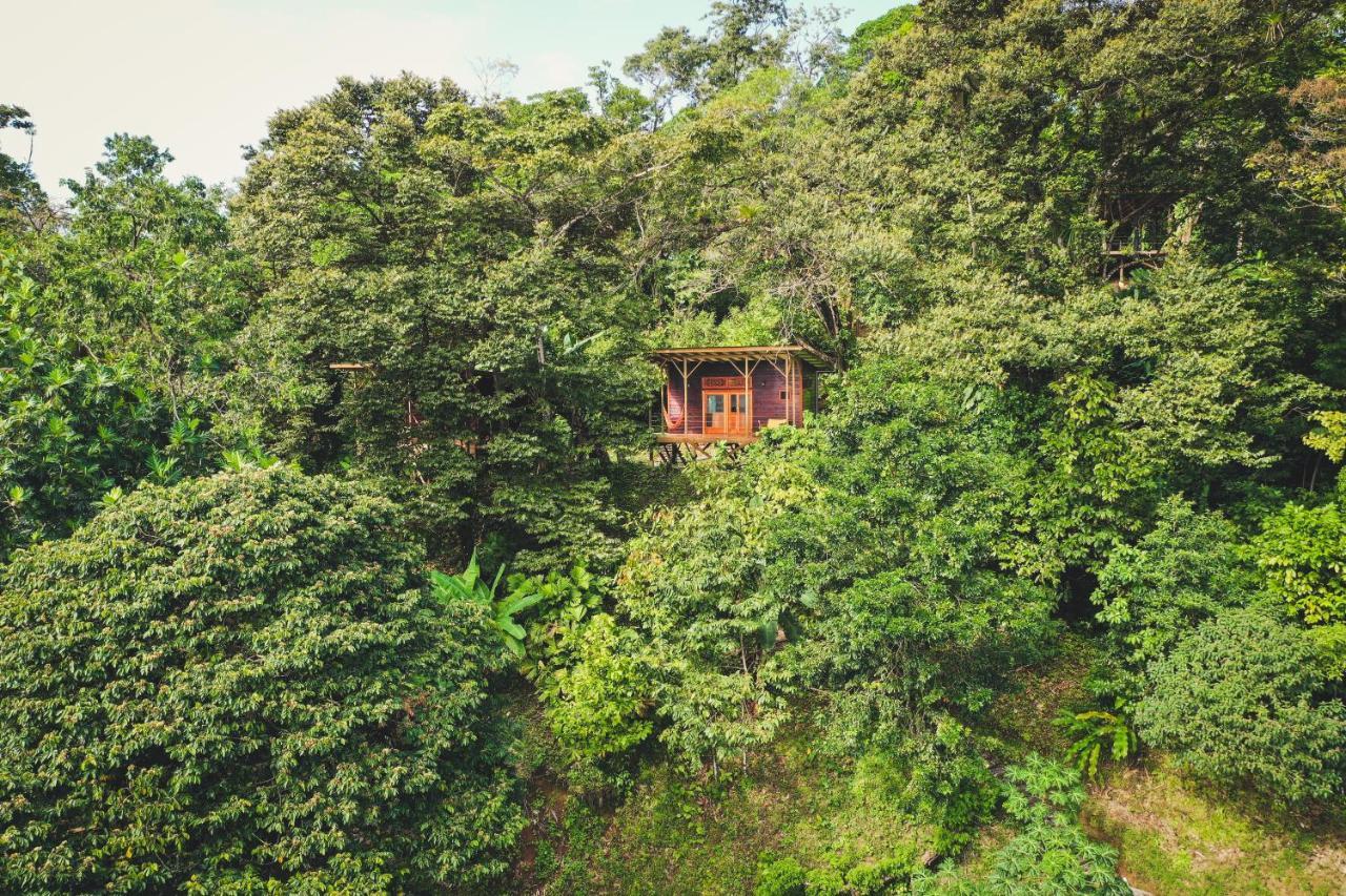 Villa Ataraxia Bastimentos Exterior foto