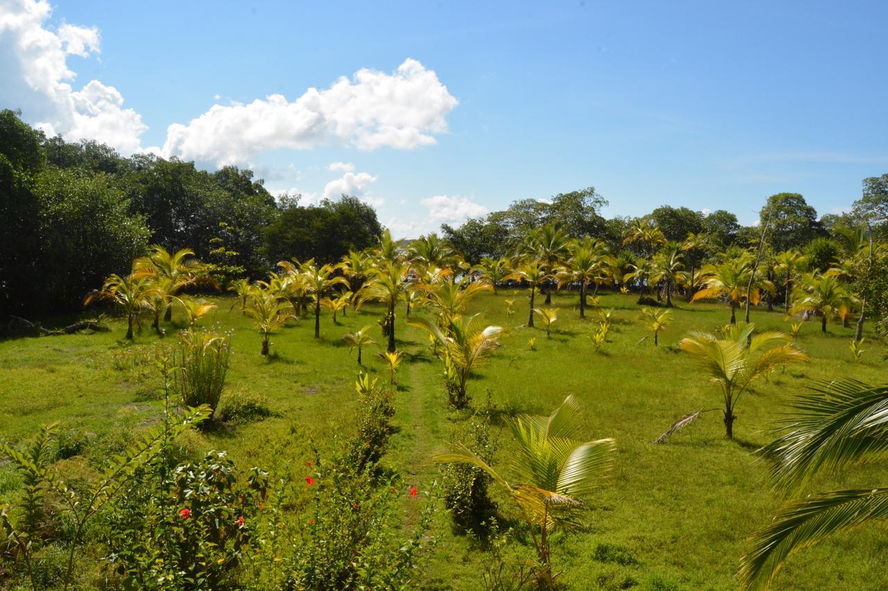 Villa Ataraxia Bastimentos Exterior foto